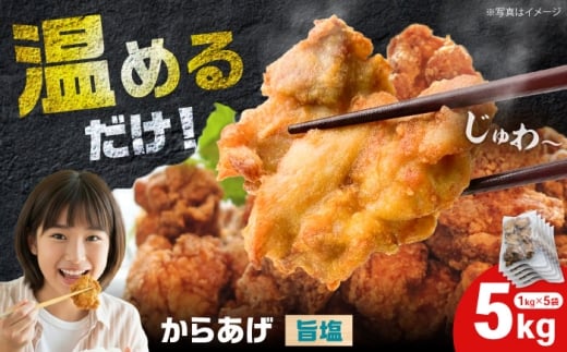 【12月23日(火)ご入金確認分まで年内発送】からあげ 旨塩味　5kg（単品）【から太郎】 [BDBC004-3]