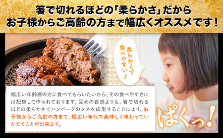 あか牛生 ハンバーグ 140g×13個 ハンバーグ