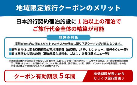 福井県坂井市 日本旅行 地域限定旅行クーポン 150,000円分 【旅行 観光 宿泊 券 トラベルクーポン クーポン券 福井県 坂井市】 [R-22001]