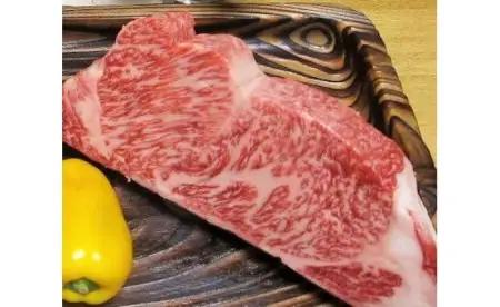 飛騨市推奨特産品 飛騨牛4等級サーロインステーキ用５００ｇをブロックでお届けします！[AW006]