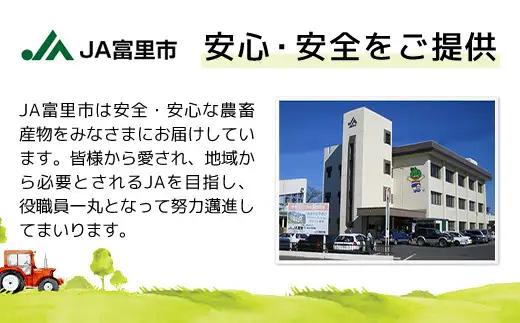 オーガニック麦茶20袋×5パック　TMF016