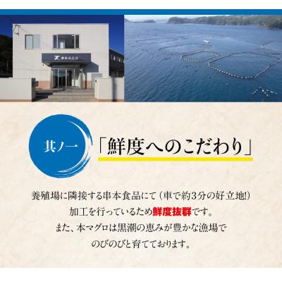 ふるさと納税 串本町 本マグロ(養殖) トロ&赤身セット 240g 【nks113】 |  | 01