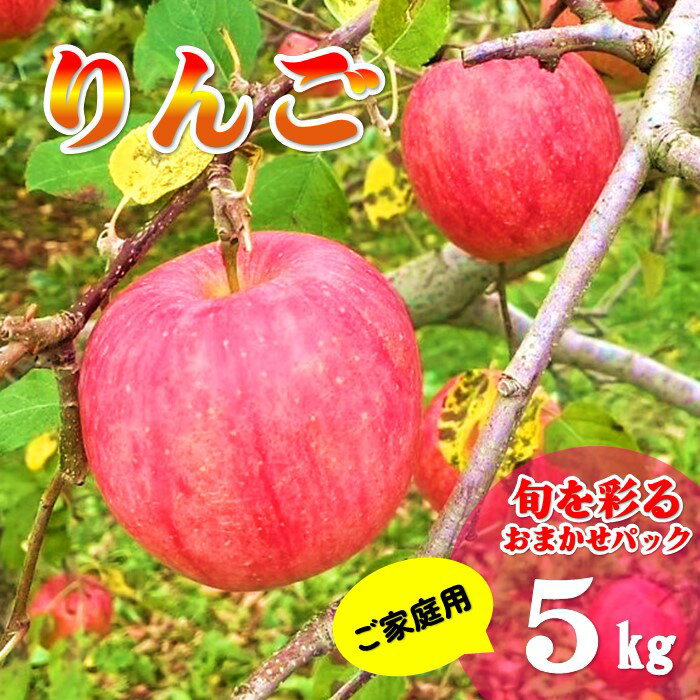 【ふるさと納税】 ＼予約受付 9月下旬より発送開始予定／旬を彩るおまかせパック 【 家庭用 】 5キロ (約13〜20玉) 林檎 リンゴ 5kg 国産 東北 岩手 産地直送 送料無料 訳あり フルーツ 果物 岩手県 北上市 C0522 金鈴園 ふるさと納税 限定 季節限定 秋 冬