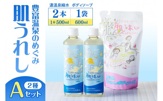 豊富温泉 濃縮温泉水サロベツ大地恵泉 (500ml×2本) ＆ ボディーソープ (600ml×1個) セット（ 濃縮温泉水 濃縮 温泉水 スキンケア 入浴剤 ボディウォッシュ 石鹸 ソープ 保湿 クリ