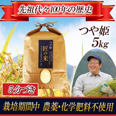 ふるさと納税 酒田市 【栽培期間中農薬不使用】つや姫《5ぶづき》5kg 大粒LLサイズ以上厳選 精米仕立て 令和8年産