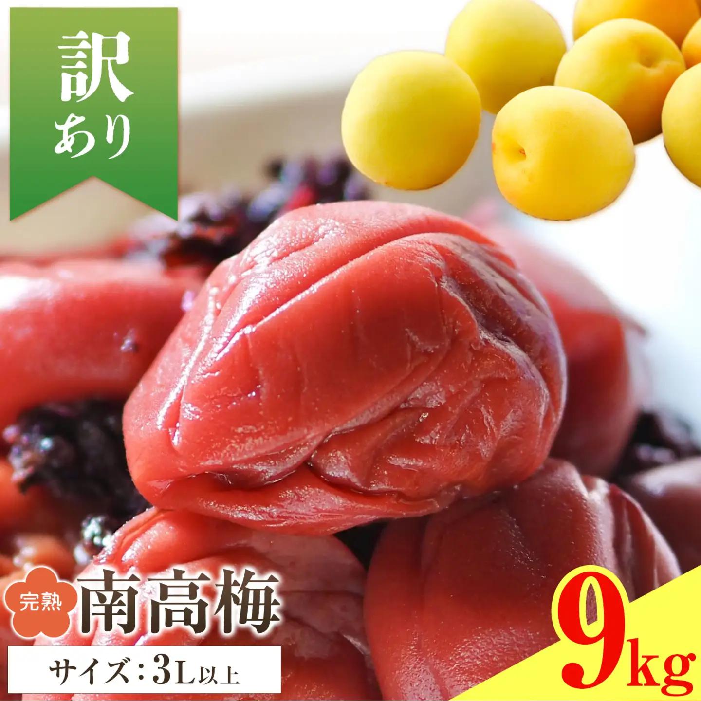 紀州南高梅 訳あり(完熟) 9kg 農業福祉研究機構《6月下旬-7月上旬頃出荷》