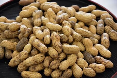 【先行予約】【12月上旬から発送】千葉県産 カラ煎り落花生 千葉半立 1.2kg（200g×6） SMF005