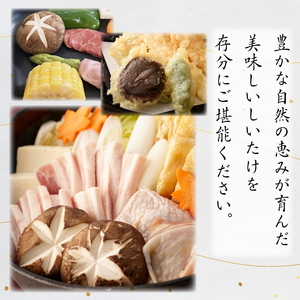 しいたけ 菌床生しいたけ 1kg きのこ 肉厚 生 椎茸 濃厚 家庭用 おかず 野菜 料理 調理 健康食品 健康 冷蔵 国産 徳島