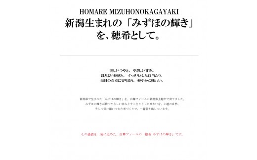 令和8年 新米 新潟県上越市産 穂希 みずほの輝き お試し2合300g 精米 株式会社MSD