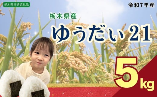 ゆうだい21 5kg | 米 こめ コメ kome 白米 精米 お米 ゆうだい ユウダイ ﾕｳﾀﾞｲ 栃木米 大粒 粘り 甘み お弁当 おにぎり 令和7年度米 令和7年度 2025年度米 2025年度 ブランド米 栃木県 特産品 送料無料 【栃木県共通返礼品】 栃木県 下野市 しもつけ市