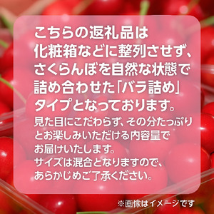 さくらんぼ 【5月20日入金分まで】 バラ詰め 700g