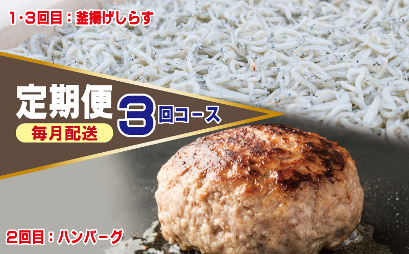 店主セレクト ハンバーグ／しらす 食べ比べ 定期便 全3回【毎月配送コース 大阪 泉佐野 大阪府 泉佐野市】