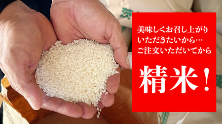 【令和6年新米】茨城県産 コシヒカリ 10kg 令和6年産 新米 単一原料米 精米 米 お米 コメ 白米 こしひかり 茨城県 [BC083sa]