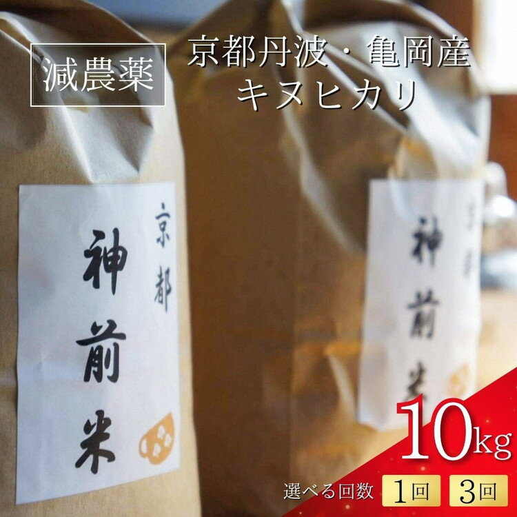 【ふるさと納税】【令和7年産】新米 先行予約 10kg 京都・神前米 10kg 1回 3回定期便 ☆精米したてをお届け ※2025年9月下旬以降順次発送 ≪減農薬 自家栽培米 生産農家 直送 白米 米 精米 クリーン白米≫