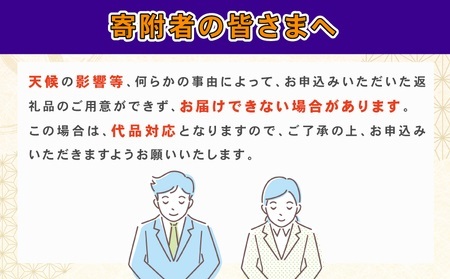 愛媛みかん 河内晩柑 訳あり 10kg 清五郎農園 サイズ 不揃い 河内晩柑河内晩柑河内晩柑河内晩柑愛媛みかん愛媛みかん愛媛みかん B010-156001