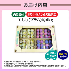 《先行受付》すもも（プラム）約4kg 2種以上【2025年8月中旬頃～発送予定】【山形プラム・大江町産】 001-076