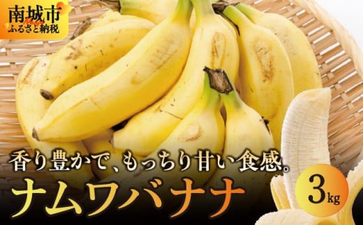 バナナ 南城市 ナムワバナナ3kg