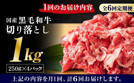 【6回定期便】熊本県産 黒毛和牛 切り落とし 計約1kg (約250g×4P)【有限会社九州食肉産業】黒毛和牛 九州産 熊本県産 切り落とし 小分け  牛肉切り落とし 切り落とし定期 切り落とし定期便