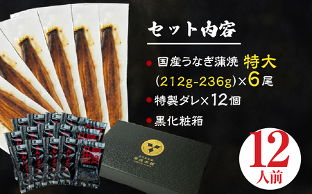国産うなぎ蒲焼 特大6尾 うなぎ