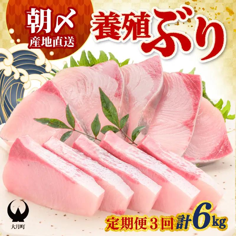 【定期便】ぶり 2kg × 3回 養殖 冷蔵ぶり