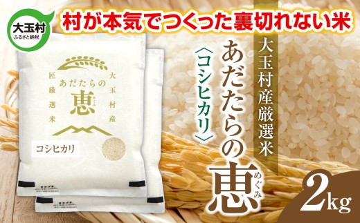 米 大玉村産厳選米「あだたらの恵」（品種：コシヒカリ） 2kg 《 令和7年産  》｜ 福島 大玉村 お米 米作り こしひかり 令和7年 精米 白米 こめ コメ ご飯 送料無料 大玉村農業振興公社 ｜ on-ak-2kg-r7