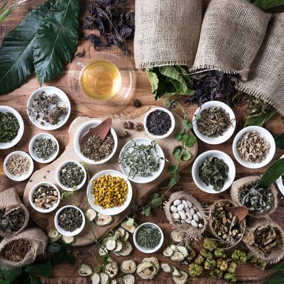 ふるさと納税 高原町 国産薬草茶 きりしま日和 桑の葉茶ティーバッグ 1.5g×60包 yy-655 |  | 03