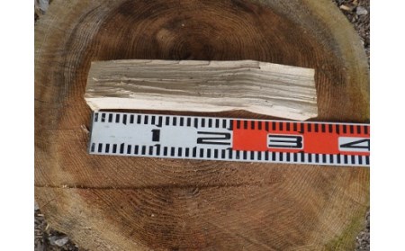 TK1「きこりの薪」広葉樹定期便4カ月