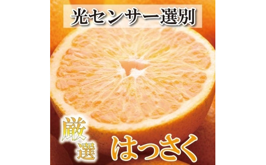 
            ［先行予約］厳選 はっさく10kg+250g（傷み補償分）［八朔みかん］［光センサー選別］［IKE27］
          