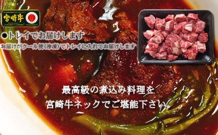 ＜宮崎牛ネックサイコロカット400g+パタゴニア天然塩付き＞3か月以内に順次出荷【c530_tf_x3】