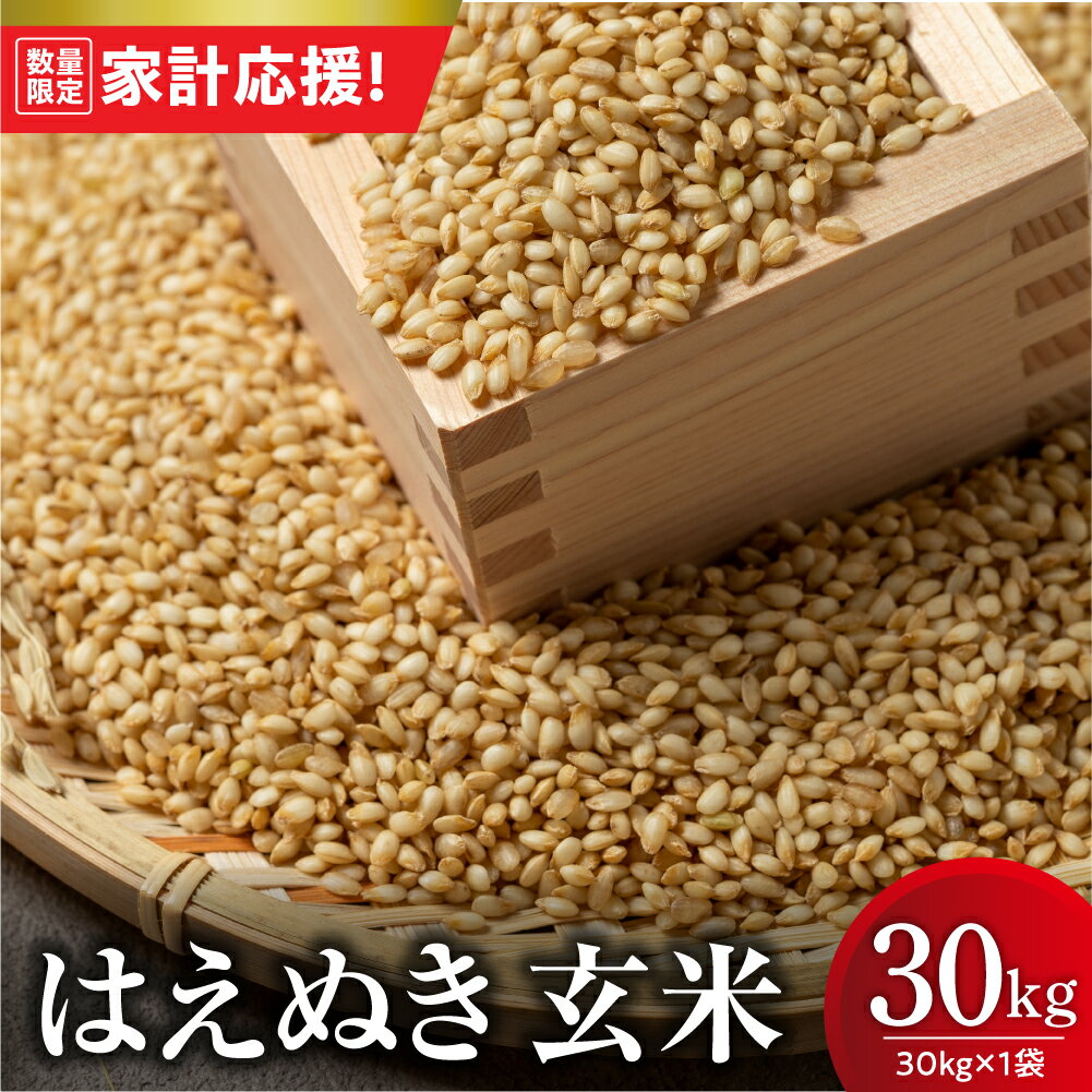 【ふるさと納税】【家計応援】【 令和7年産 】 はえぬき 玄米 30kg （ 30kg × 1袋 ） お米 産地直送 2025年産 米沢産 お取り寄せ 送料無料 山形県 米沢市 歳末感謝