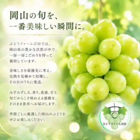【お楽しみ福袋2026】シャインマスカット+その他の品種(計2-3種・400g×4)【配送不可地域：離島】【1754533】