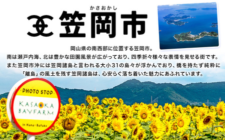 笠岡市 応援寄附 1口 10000円【返礼品なし】 応援 寄附