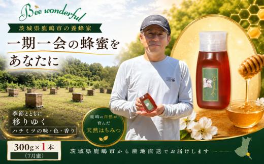 はちみつ 百花蜜 養蜂 自家採蜜 非加熱 無添加 蜂蜜 産地直送 300g×1個 贈答用 贈答 ハニー 国産 プレゼント 一期一会 7月蜜 ギフト 栄養 自然のめぐみ 日常使い ふるさと納税 茨城県 鹿嶋市
