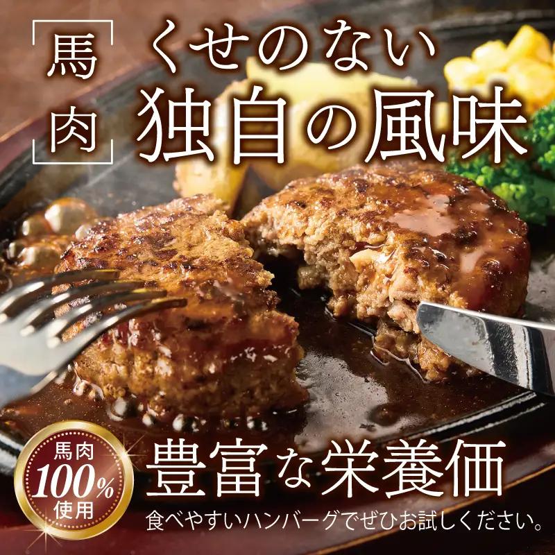 【定期便】 桜文 馬肉ハンバーグ 120ｇ×10個 全3回 【毎月配送コース】