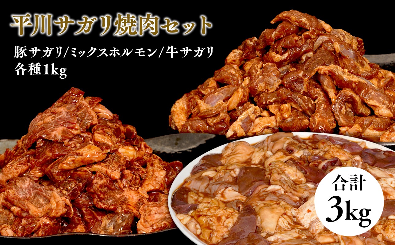 
                  平川サガリ焼肉セット　約3kg『レジェンド精肉店』としてTVに取りあげられた大人気精肉店！
                