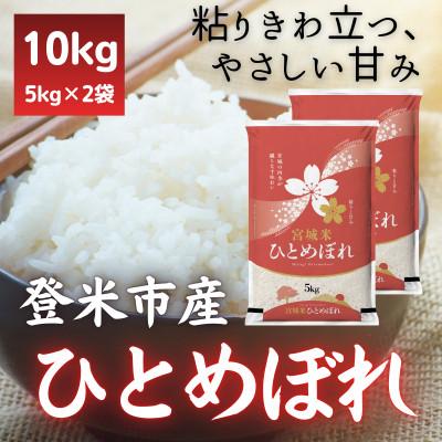 ふるさと納税 登米市 令和7年産　宮城県登米市産ひとめぼれ(精米)5kg×2袋セット