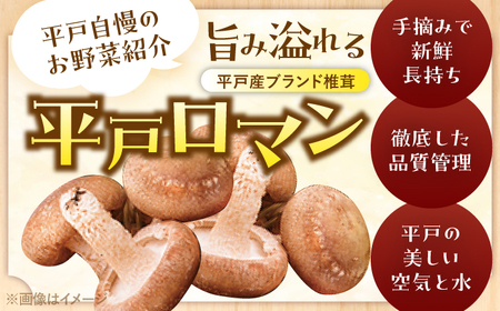 安心の地元野菜と果物のお任せセット【株式会社ひらど新鮮市場】[KAB019]/ 長崎 平戸 野菜 果物 キャベツ アスパラガス ナス 大根 かぶ ミニトマトトマト 玉ねぎ いちご 