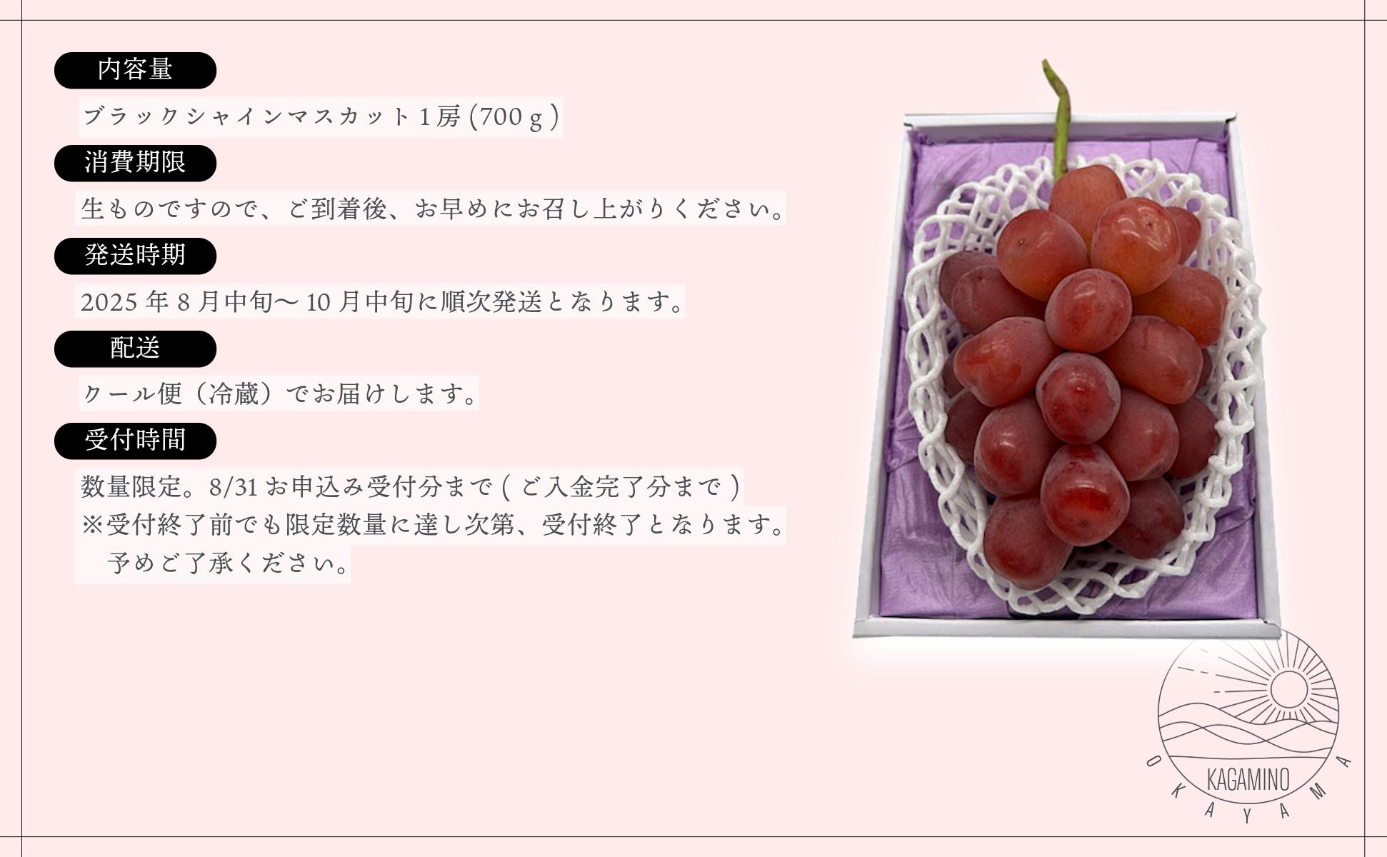 ブラックシャインマスカット1房（700ｇ）