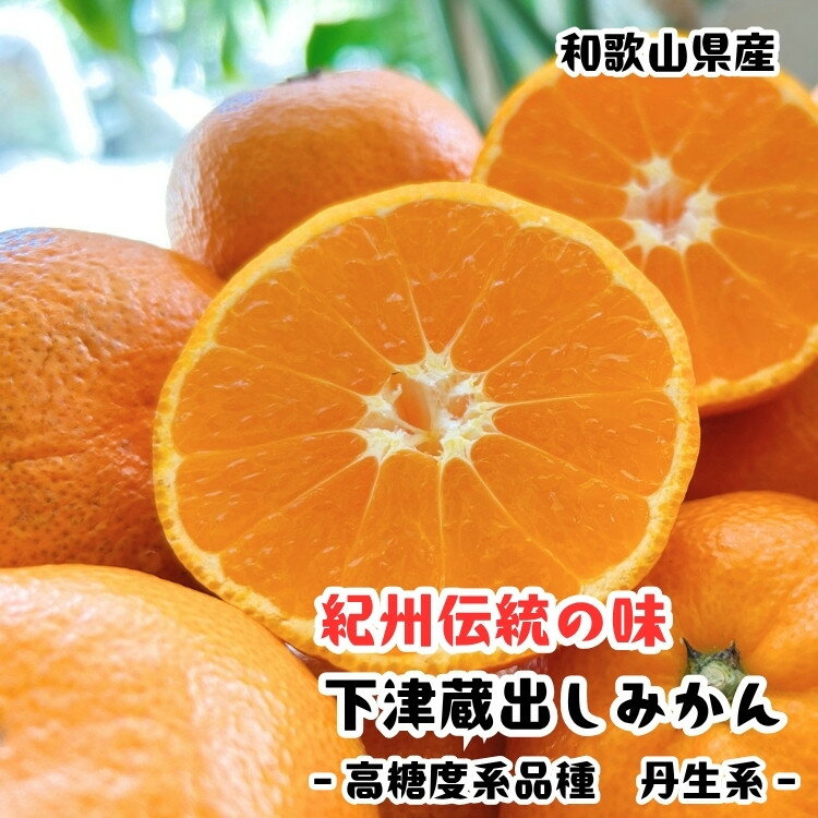 【ふるさと納税】［紀州伝統の味］下津蔵出し みかん（高糖系品種 丹生系）［S～L混合サイズ］［先行予約］ | ふるさと納税 楽天ふるさと 和歌山 和歌山県 海南市 返礼品 蔵出し お礼の品 特産品 果物 フルーツ ミカン 蜜柑 柑橘類 みかん 混合 糖度 高糖度