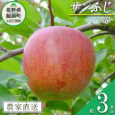 【ふるさと納税】 りんご サンふじ 秀 3kg 宮本ファーム 令和7年度収穫分 長野県 飯綱町 〔 リンゴ 林檎 果物 フルーツ 信州 長野 14000円 予約 農家直送 〕 発送時期：2025年12月上旬〜2025年12月下旬