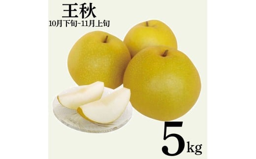 12MS.【2026年先行受付】王秋5kg