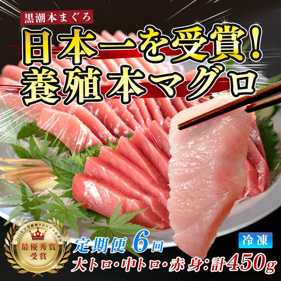 訳あり 不定貫 まぐろ マグロ 本鮪 黒潮本まぐろ 大トロ 中トロ 赤身 定期便 6回 計450g × 6回 刺身 (PT0080_0617)
