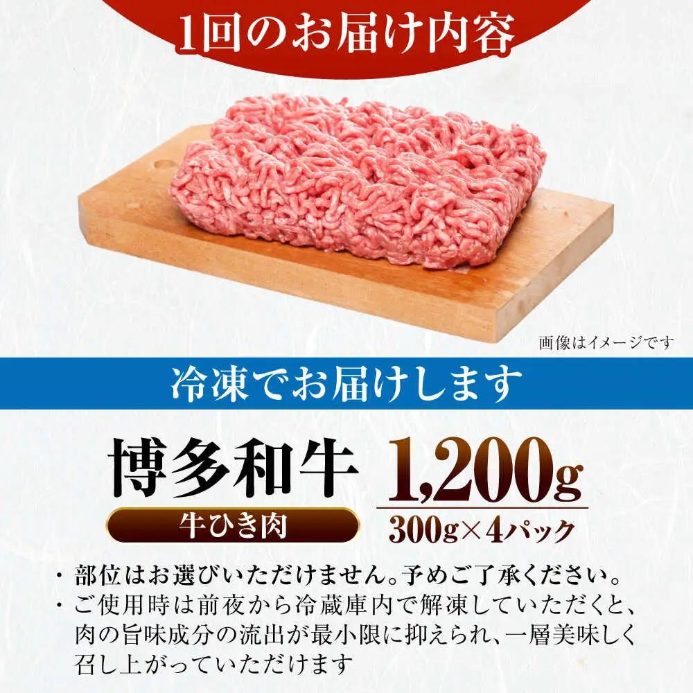 【全2回定期便】【訳あり】 博多和牛 100％ ミンチ (挽肉) 1.2kg(300g×4個) VDZ096 ひき肉 訳あり