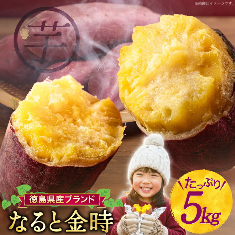 【ふるさと納税】 さつまいも なると金時 5kg [増田 和記 徳島県 北島町 29bb0001] サツマイモ さつま芋 鳴門金時 ホクホク 焼き芋 天ぷら 大学芋 スイートポテト おやつ かんしょ
