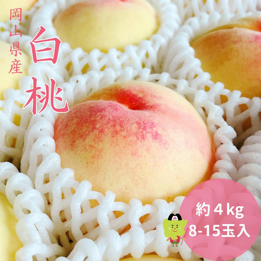 【ふるさと納税】白桃 岡山 秀品 大玉 約4kg 8-15玉 岡山県産 桃 もも 御中元 ギフト 御礼 プレゼント 御礼 御祝 御供 果物 くだもの フルーツ　土-17