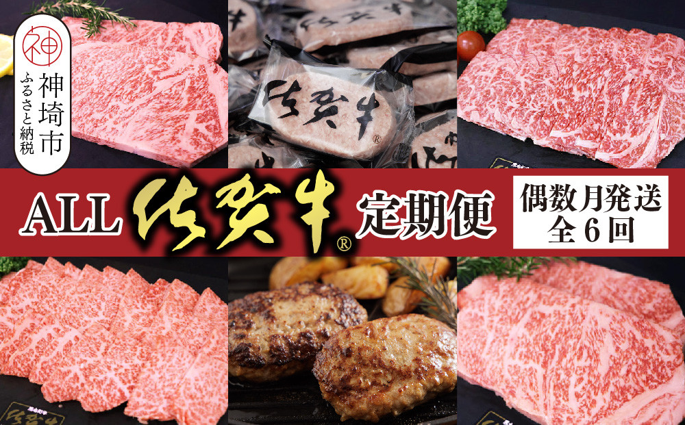 
            【偶数月発送 全6回定期便】ALL佐賀牛定期便【サーロインステーキ 赤身焼き肉 ハンバーグ カルビ焼肉 100%ハンバーグ ロースステーキ バラエティ豊か】(H118112)
          