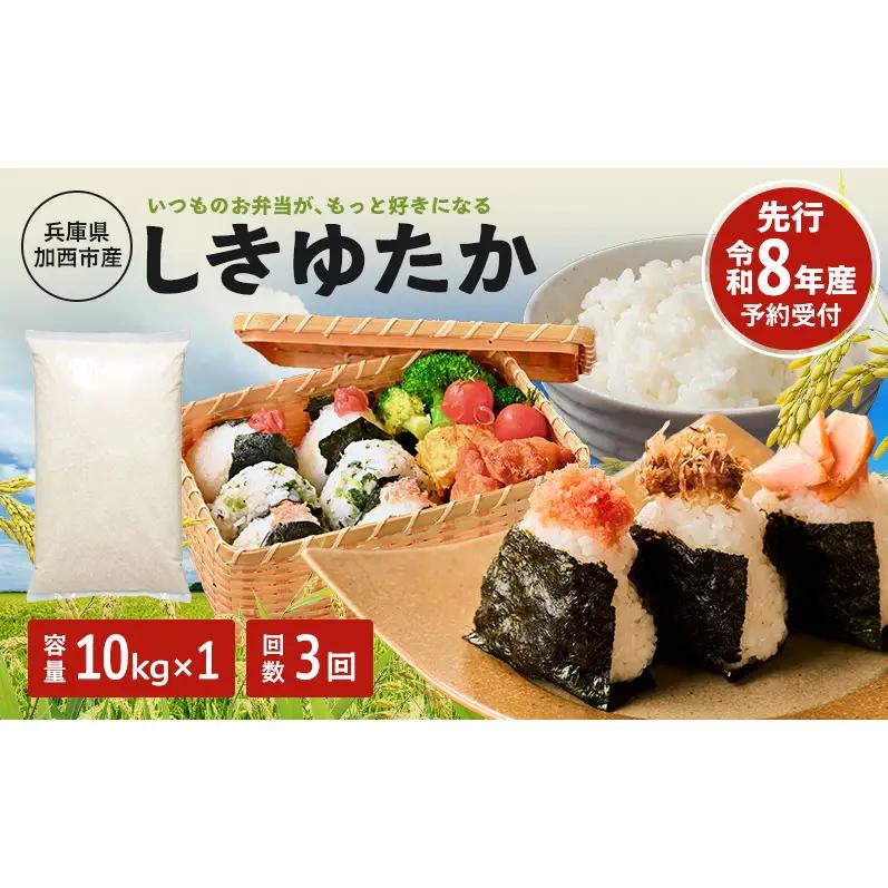 しきゆたか 令和8年産 白米 単一原料米 しきゆたか【10kg】【定期便3か月 先行受付】