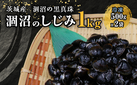 【ふるなびWEEK対象】451 しじみ 冷凍 砂抜き 1kg 500g × 2袋 ひぬま やまと シジミ 涸沼 大和