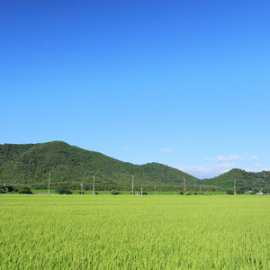 竜王町 返礼品なしの応援受付【返礼品なし/1,000円?1,000,000円】