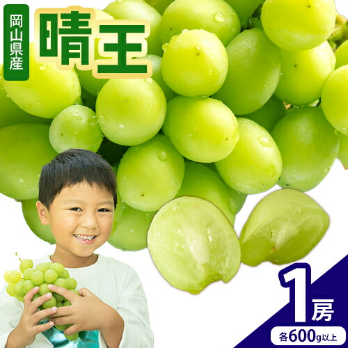 【2026年先行予約】シャインマスカット【晴王】 岡山県産 1房(600g以上) 株式会社Myself《2026年9月上旬-10月下旬頃出荷》マスカット 送料無料 岡山県 浅口市 ぶどう フルーツ 果物 贈り物 ギフト